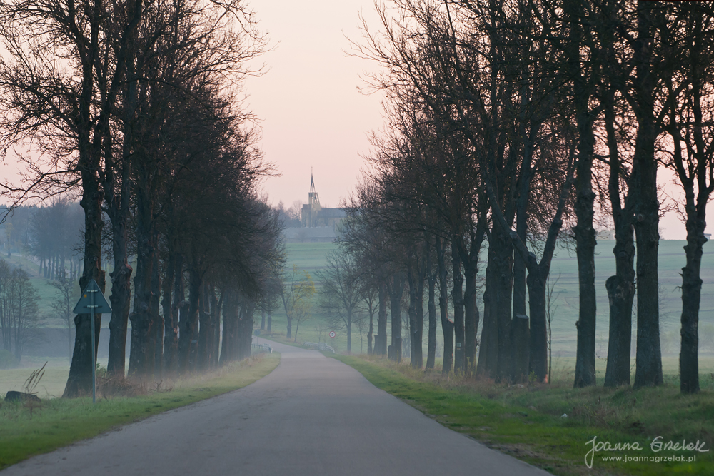 010_Biebrza - kwiecien 2012.jpg